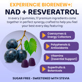 BIORENEW+ NAD & Resveratrol– Advanced Cellular Longevity Formula